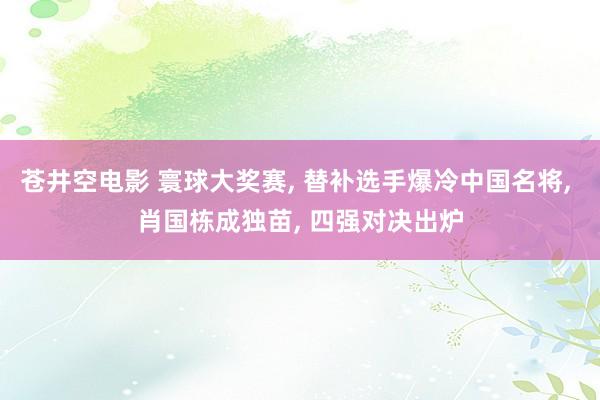 苍井空电影 寰球大奖赛, 替补选手爆冷中国名将, 肖国栋成独